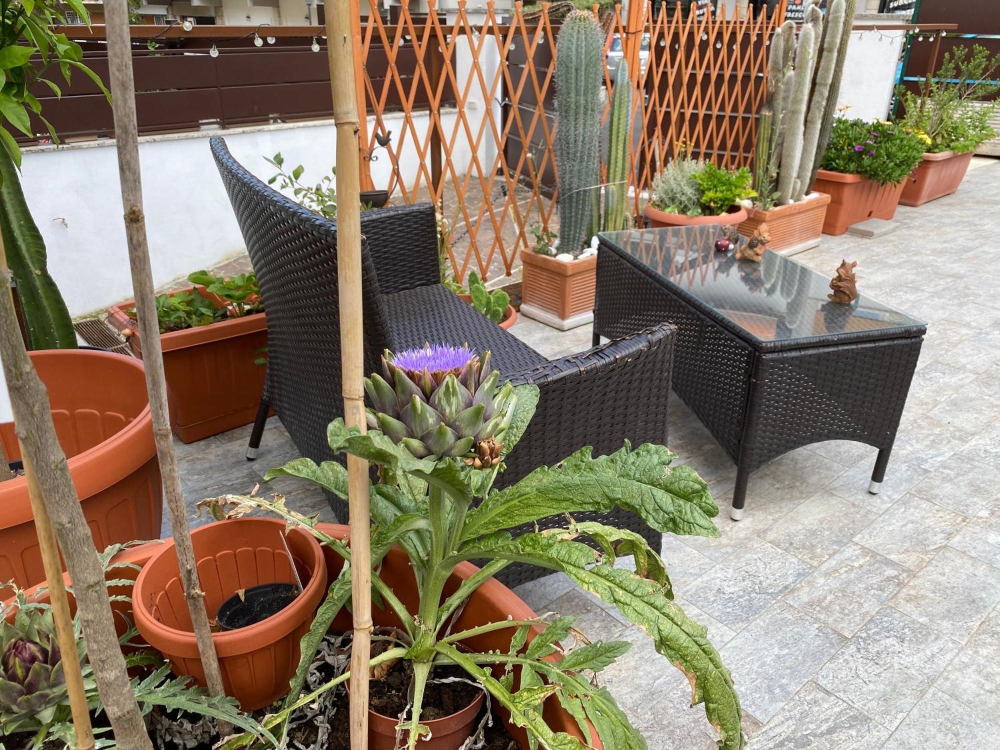 Officinale Rome Apartment, Pineta Sacchetti Luaran gambar
